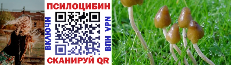 Псилоцибиновые грибы Psilocybine cubensis  МЕГА рабочий сайт  Тогучин  где купить наркотик 
