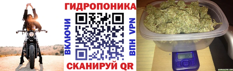 Бошки марихуана LSD WEED Тогучин